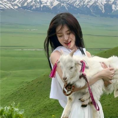 最后的骑士